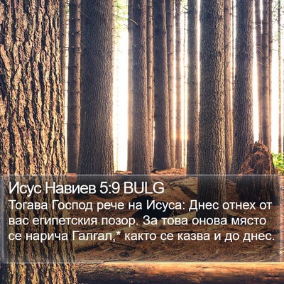 Исус Навиев 5:9 BULG Bible Verse Image