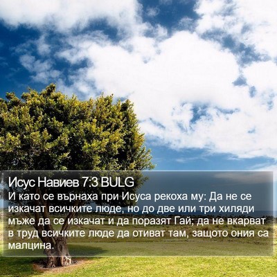 Исус Навиев 7:3 BULG Bible Verse Image