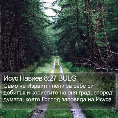 Исус Навиев 8:27 BULG Bible Verse Image