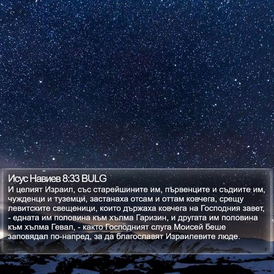 Исус Навиев 8:33 BULG Bible Verse Image