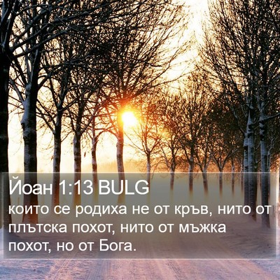 Йоан 1:13 BULG Bible Verse Image