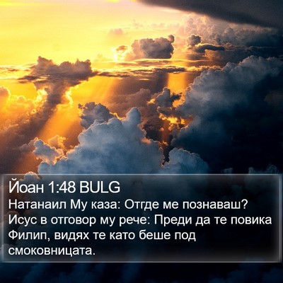 Йоан 1:48 BULG Bible Verse Image