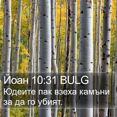 Йоан 10:31 BULG Bible Verse Image