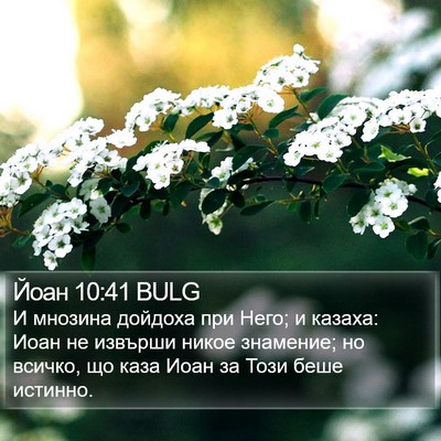 Йоан 10:41 BULG Bible Verse Image