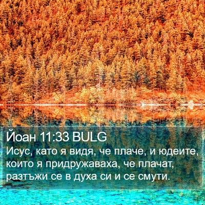 Йоан 11:33 BULG Bible Verse Image