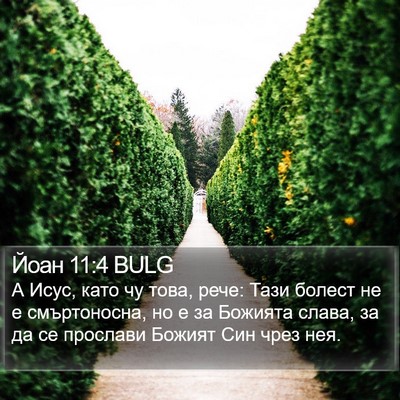 Йоан 11:4 BULG Bible Verse Image
