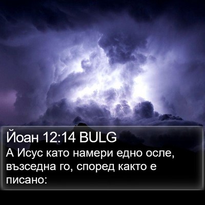 Йоан 12:14 BULG Bible Verse Image