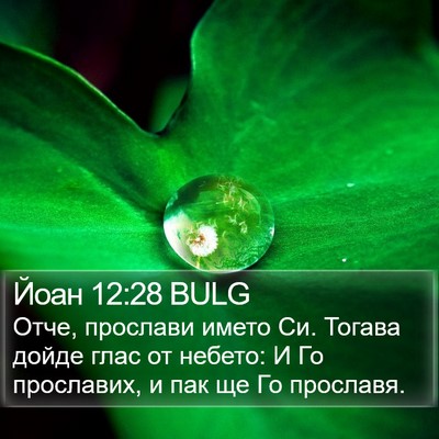 Йоан 12:28 BULG Bible Verse Image