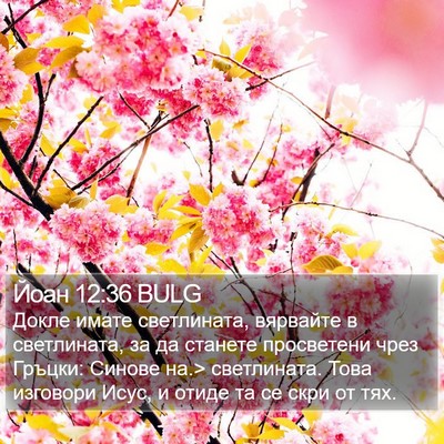 Йоан 12:36 BULG Bible Verse Image