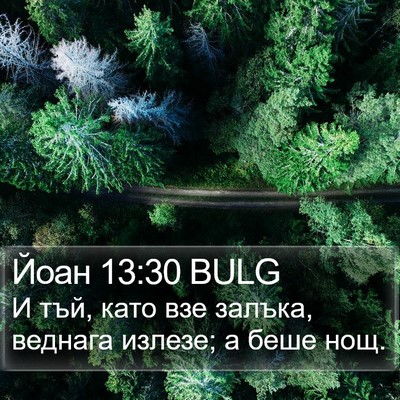 Йоан 13:30 BULG Bible Verse Image