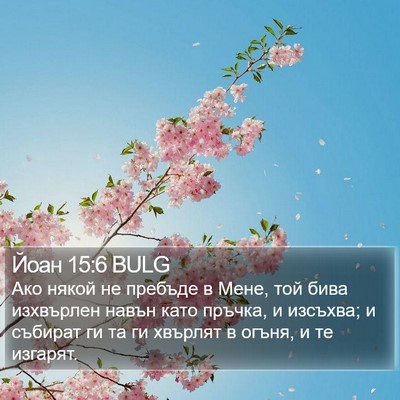 Йоан 15:6 BULG Bible Verse Image