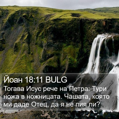 Йоан 18:11 BULG Bible Verse Image