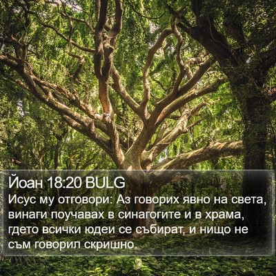 Йоан 18:20 BULG Bible Verse Image