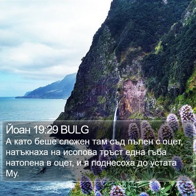 Йоан 19:29 BULG Bible Verse Image