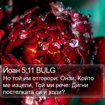 Йоан 5:11 BULG Bible Verse Image