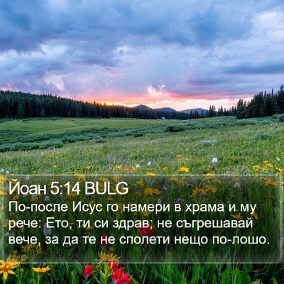 Йоан 5:14 BULG Bible Verse Image