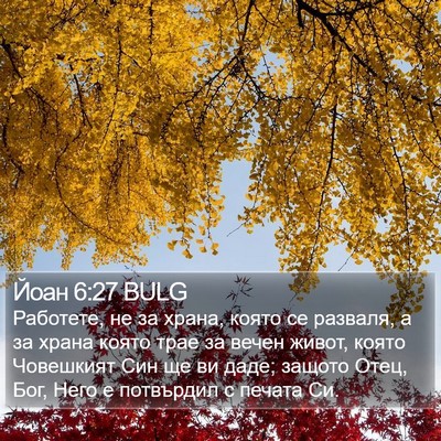 Йоан 6:27 BULG Bible Verse Image