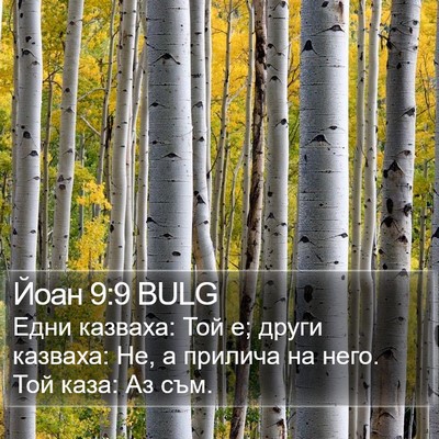 Йоан 9:9 BULG Bible Verse Image