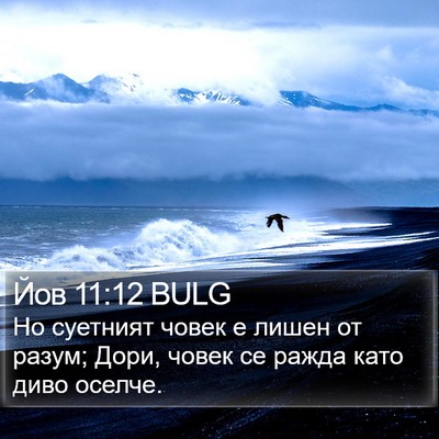 Йов 11:12 BULG Bible Verse Image