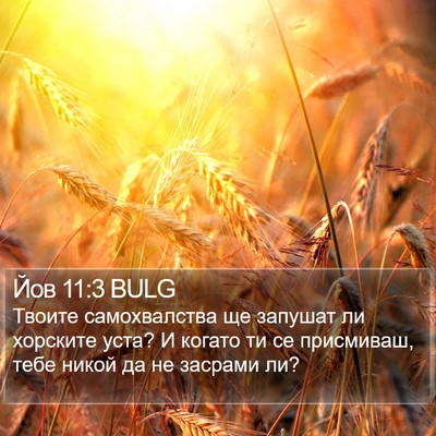 Йов 11:3 BULG Bible Verse Image