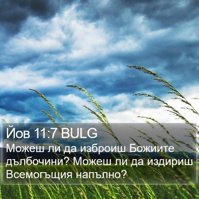 Йов 11:7 BULG Bible Verse Image