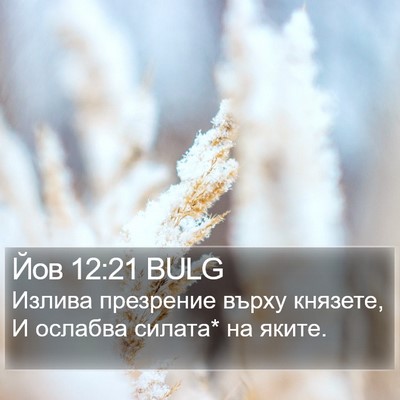 Йов 12:21 BULG Bible Verse Image