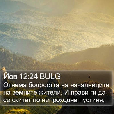 Йов 12:24 BULG Bible Verse Image