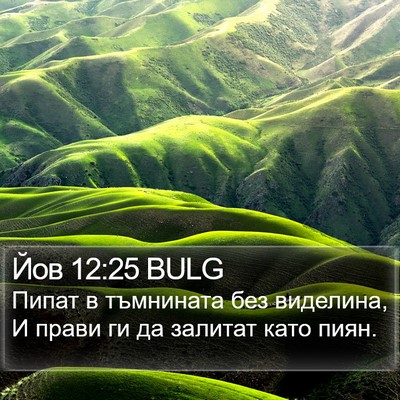 Йов 12:25 BULG Bible Verse Image