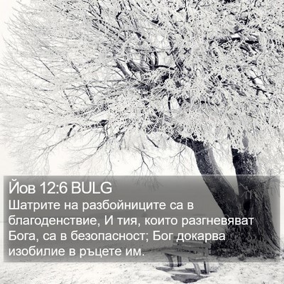 Йов 12:6 BULG Bible Verse Image