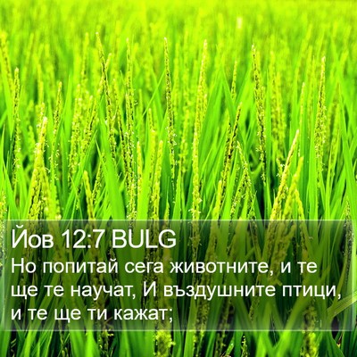 Йов 12:7 BULG Bible Verse Image