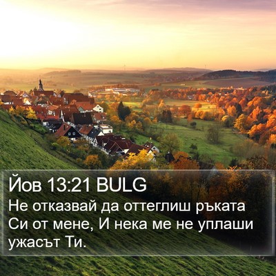 Йов 13:21 BULG Bible Verse Image