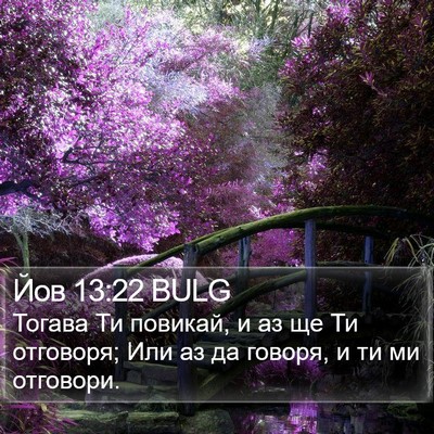Йов 13:22 BULG Bible Verse Image