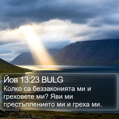 Йов 13:23 BULG Bible Verse Image