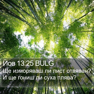 Йов 13:25 BULG Bible Verse Image