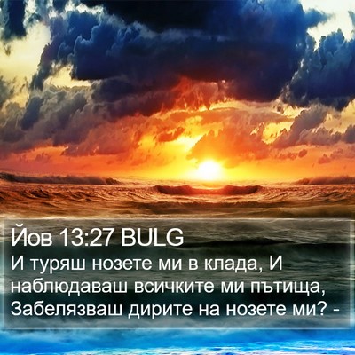 Йов 13:27 BULG Bible Verse Image