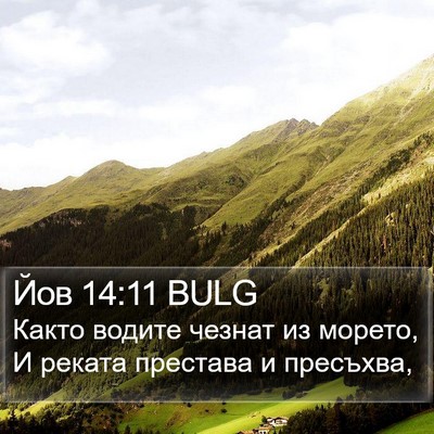 Йов 14:11 BULG Bible Verse Image