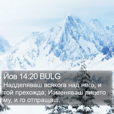 Йов 14:20 BULG Bible Verse Image