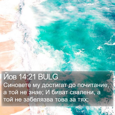 Йов 14:21 BULG Bible Verse Image
