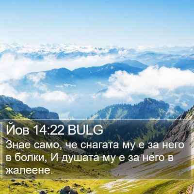 Йов 14:22 BULG Bible Verse Image