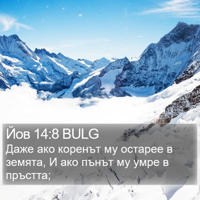 Йов 14:8 BULG Bible Verse Image