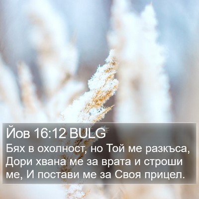 Йов 16:12 BULG Bible Verse Image