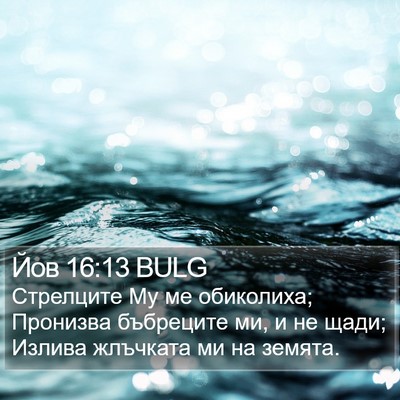 Йов 16:13 BULG Bible Verse Image