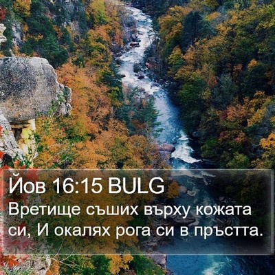 Йов 16:15 BULG Bible Verse Image