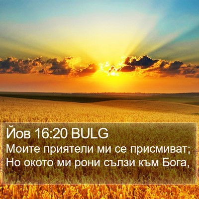 Йов 16:20 BULG Bible Verse Image
