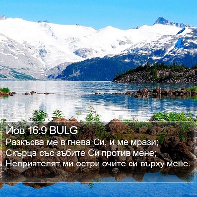 Йов 16:9 BULG Bible Verse Image
