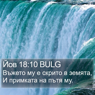 Йов 18:10 BULG Bible Verse Image