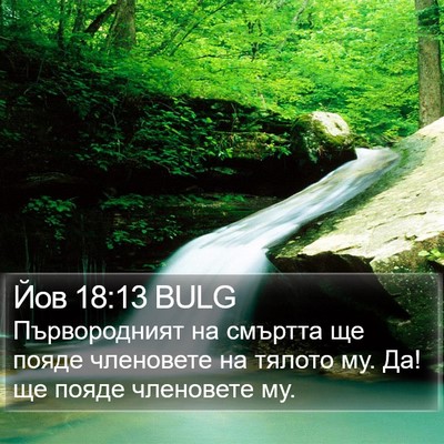 Йов 18:13 BULG Bible Verse Image