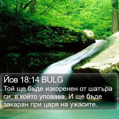 Йов 18:14 BULG Bible Verse Image