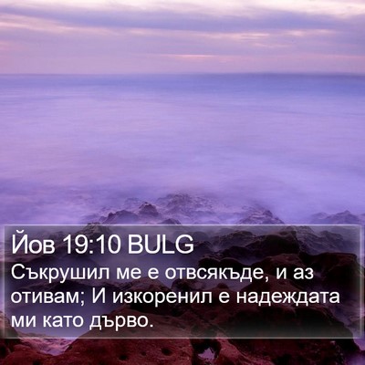 Йов 19:10 BULG Bible Verse Image