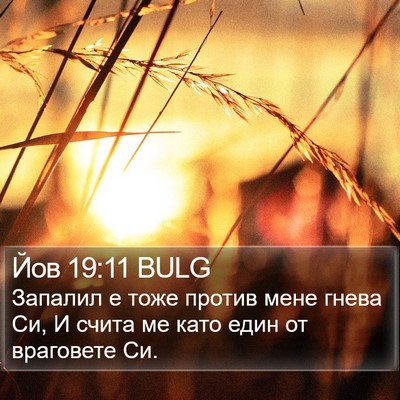 Йов 19:11 BULG Bible Verse Image